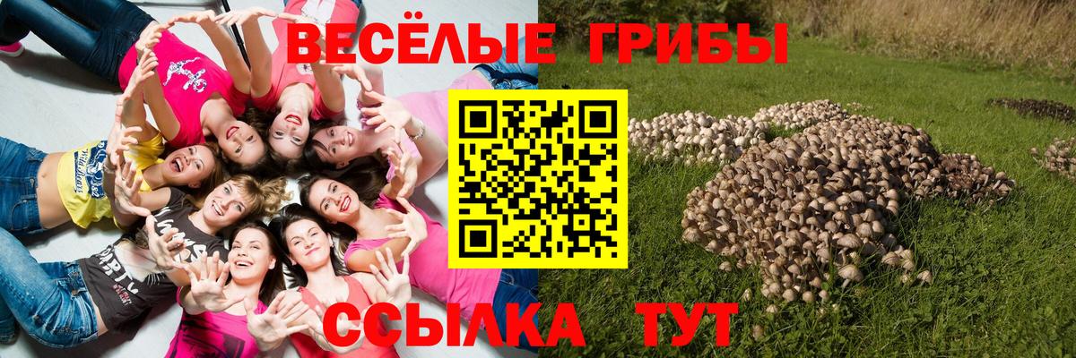 Галлюциногенные грибы ЛСД  Вход с VPN  Вичуга 