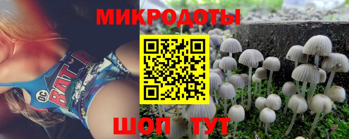 Псилоцибиновые грибы Psilocybe Вичуга