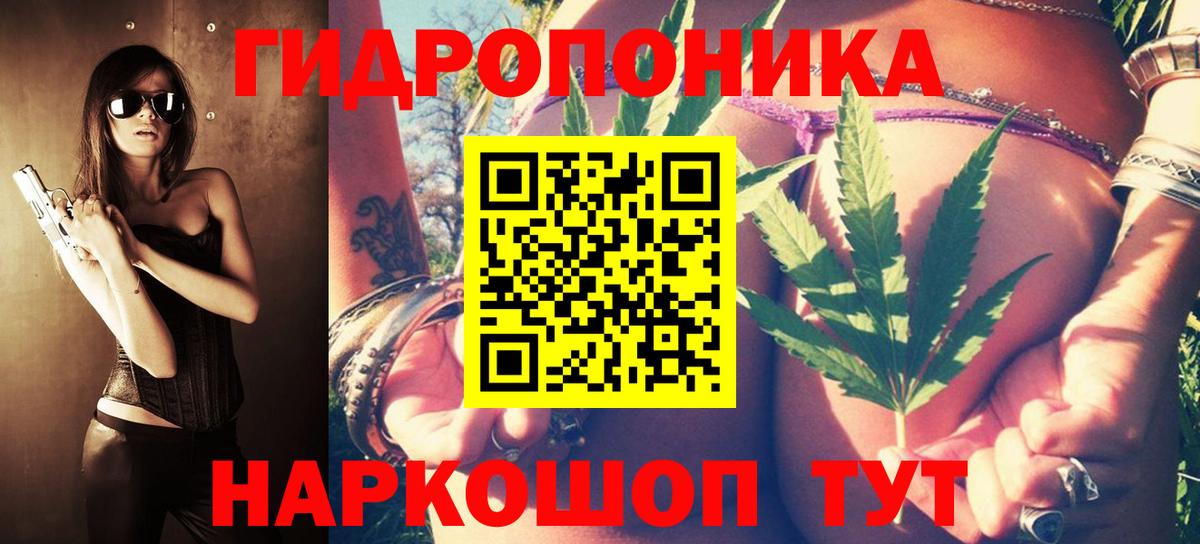 Вичуга  Шишки марихуана MAZAR  Конопля OG Kush  Конопля White Widow  Вход с VPN 